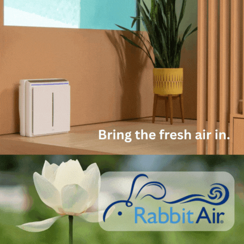 Rabbit Air - Bring the fresh air in